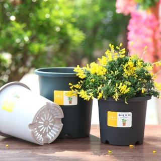 【品屋】新款加厚青山控根盆5加侖Y290+託盤(盆栽 花盆 花器 花盆器皿 植栽 塑膠盆)