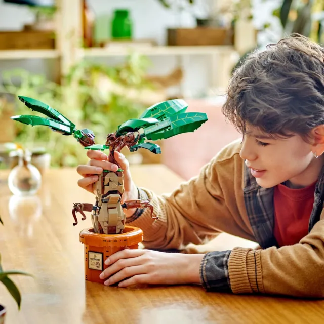 【LEGO 樂高】哈利波特系列 76433 魔蘋果(Mandrake 植物模型 禮物 DIY積木)