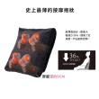【台隆手創館】日本Lourdes超薄美型3D溫熱按摩枕(AX-HCL338)