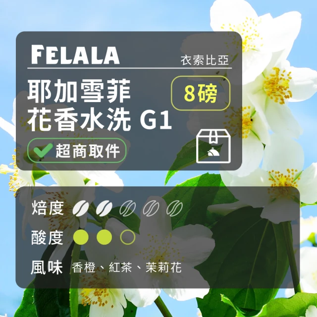 Felala 費拉拉 中淺烘焙 耶加雪菲 花香水洗 咖啡豆 8磅(茉莉花香中帶著清新茶韻味)