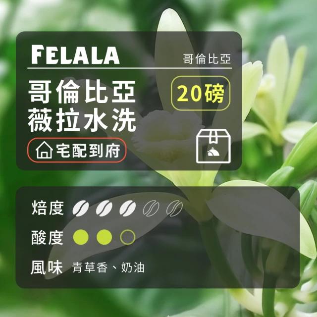 Felala 費拉拉 中烘焙 國寶 調配藍山 咖啡豆國寶 調