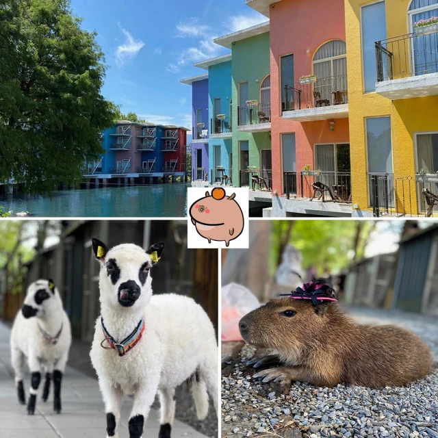 水岸森林物語 宜蘭親子農場★可愛動物園單人門票+飲品(贈一份牧草)