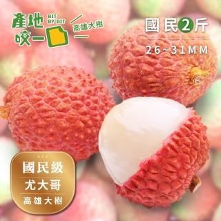 【Bit By Bit 產地咬一口】國民級高雄大樹玉荷包2斤(每箱1斤約38-42顆 每顆26-31mm)