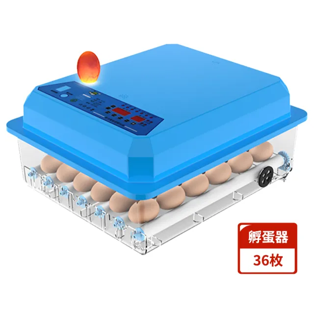 110V孵化機 36枚孵蛋器 自動翻蛋(雙電源可接12V全自動控溫 小雞孵化器)