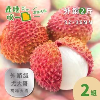【Bit By Bit 產地咬一口】外銷級高雄大樹玉荷包2斤箱2組(每箱1斤約22-26顆 每顆32-36mm)