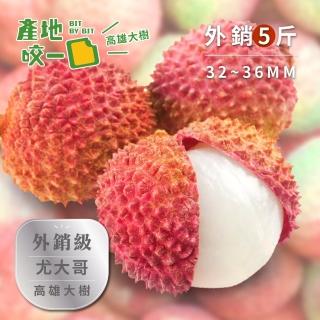 【Bit By Bit 產地咬一口】外銷級高雄大樹玉荷包5斤(每箱1斤約22-26顆 每顆32-36mm)