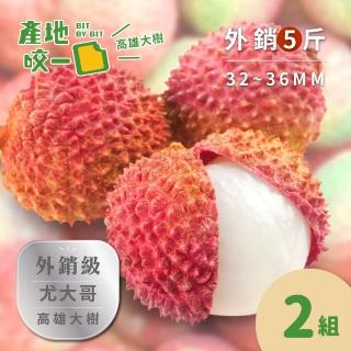 【Bit By Bit 產地咬一口】外銷級高雄大樹玉荷包5斤箱2組(每箱1斤約22-26顆 每顆32-36mm)