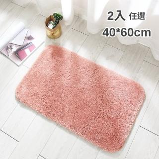 【帕斯特地墊】2入任選 40*60cm 加厚3cm 厚絨毛地墊 浴室居家吸水地墊 防滑地墊 可機洗(室內腳踏墊地毯)