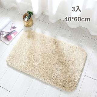 【帕斯特地墊】3入任選 40*60 加厚3cm 厚絨毛地墊 浴室居家吸水地墊 防滑地墊 可機洗 地毯(室內腳踏墊地毯)