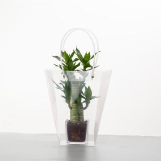 【塔克百貨】PP花袋 鮮花袋 / 小號 10入 梯形透明 /防水袋 手提袋 禮品袋 盆栽袋 綠植袋 環保袋 紙袋
