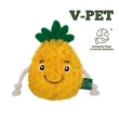 【V-PET】耐咬耐磨玩具(寵物玩具 貓草玩具 耐磨耐咬)