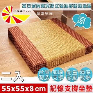 【凱蕾絲帝】臺灣製造涼夏紙纖記憶聚合坐墊二入-加厚8CM坐墊/沙發墊(英倫橘-實木椅墊55x55cm)