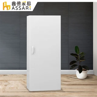 【ASSARI】防潮防蛀塑鋼緩衝加高浴室吊櫃(寬42x深22x高120cm)