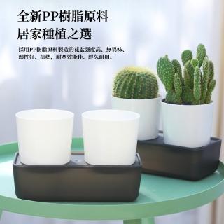 【京太陽】黑白雙子座花盆A101(花盆 盆栽容器 多肉花盆 懶人花盆 自吸水免澆水好養活 園藝 塑膠盆)