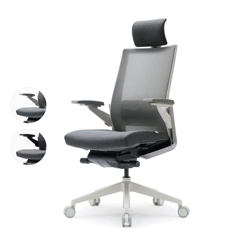 SIDIZ】T80 網背頂級人體工學椅(辦公椅電腦椅透氣網椅) - momo購物網 