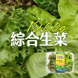 【合家歡 水耕蔬菜】綜合生菜150g x 8盒裝(宅配 水耕 萵苣 生菜)