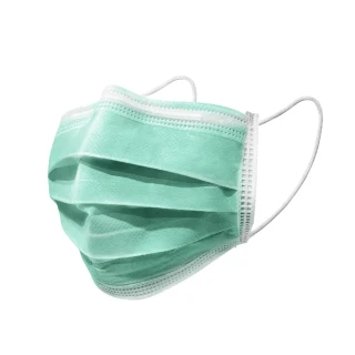 【南六】醫用成人口罩2盒組(50片/盒) 薄荷綠/台灣製造 MD雙鋼印 國家隊 卜公家族)醫療級  醫療口罩