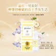 【Farcent 香水】室內擴香補充品5入 附擴香棒(100ml/入-小蒼蘭英國梨/鼠尾草海鹽/真我星夜/同名花語)