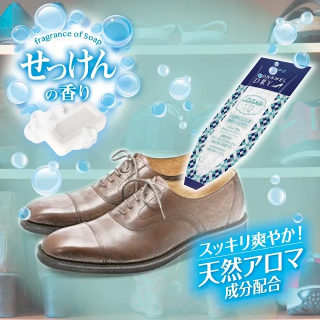【台隆手創館】日本白元 鞋用除濕消臭包-4包裝(鞋用除溼包)