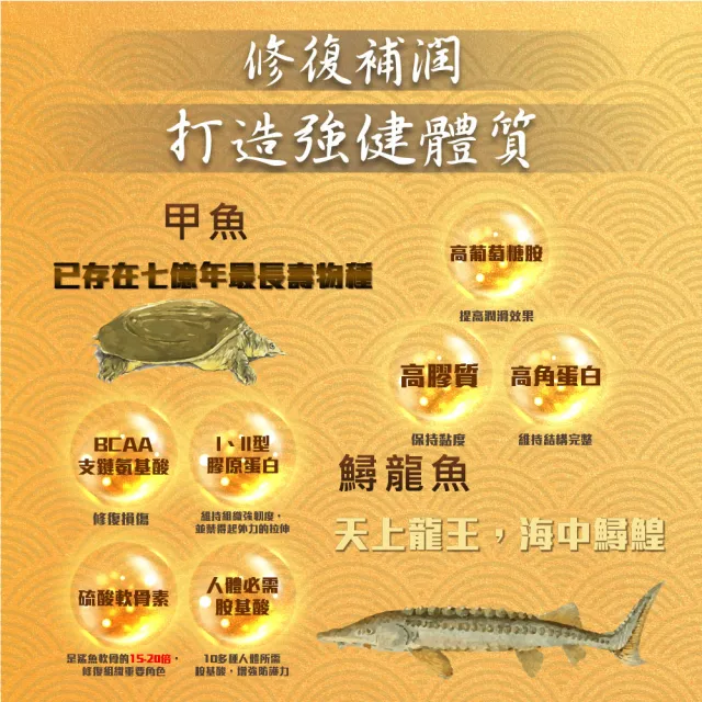 【華陀扶元堂】鱘龍甲魚龜鹿膠元2盒組(6瓶/盒;陳美鳳代言-軟骨素/MSM/葡萄糖胺)