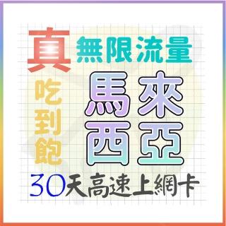 【AOTEX 奧特克斯】30天馬來西亞上網絡卡真無限高速流量喫到飽(手機卡SIM卡網路卡預付卡)