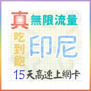【AOTEX 奧特克斯】15天印尼上網絡卡真無限高速流量喫到飽(手機卡SIM卡網路卡預付卡)