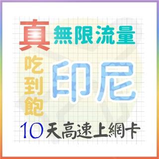 【AOTEX 奧特克斯】10天印尼上網絡卡真無限高速流量喫到飽(手機卡SIM卡網路卡預付卡)