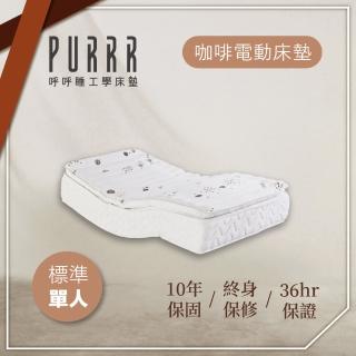 【Purrr 呼呼睡】環保咖啡電動系列(單人3X6尺 190cm*90cm)