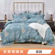 【Green 綠的寢飾】買1組送1組 萊賽爾天絲床包枕套組(雙人/加大 床包高度35公分)