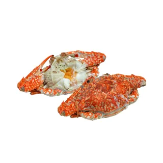 【優鮮配】斯里蘭卡生凍母花蟹2隻(200-250g/隻)