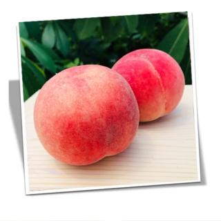【RealShop】加州空運水蜜桃約1.8kg±10%x1盒(7-9顆禮盒包裝 真食材本舖)