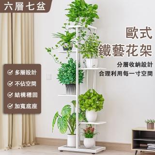 【滿天星】落地式花架 鐵藝花架 簡約風多層花架(家用客廳陽臺裝飾置物架 室內盆栽展示架 花盆架)