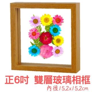 【A-ONE 匯旺】正方形6吋 DIY 雙層玻璃相框 乾燥花 壓花雙層實木相框 標本花束 樹葉天然押花畫框