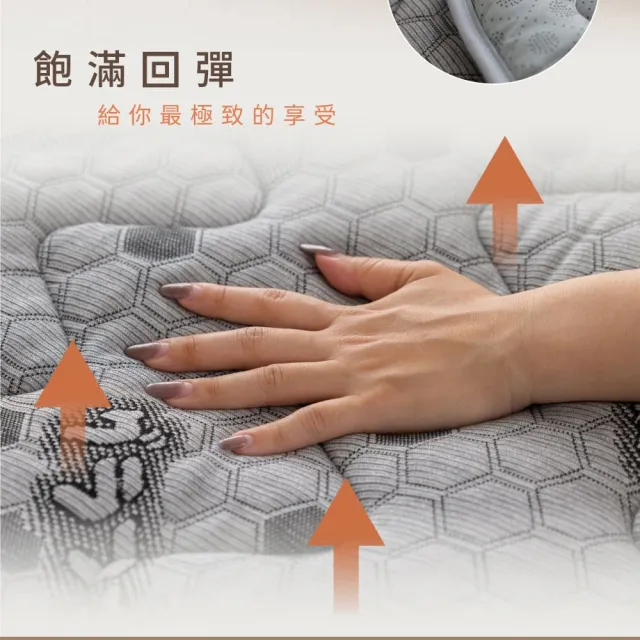 【Jindachi 金大器】雙人特大7尺-天絲石墨烯保暖墊(3M吸濕排汗 遠紅外線 台灣製造)