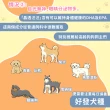 【wanchan-life 汪樂活】晶透汪汪 護眼保健粉30g(寵物葉黃素/狗眼睛保健/寵物保健)