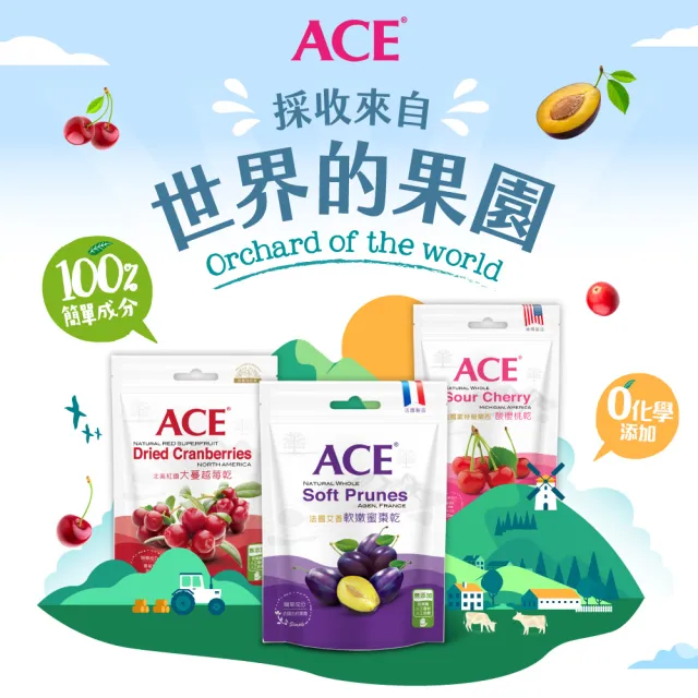 【ACE】美國蒙特模蘭西酸櫻桃乾95g(買一送一)