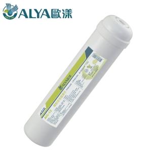 【ALYA 歐漾】大T椰殼活性碳濾芯 AIC-12