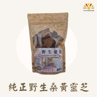 【亞源泉】純正100%野生桑黃靈芝 150g/包(桑黃靈芝)