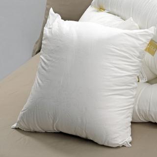 【LITA 麗塔寢飾】抱枕枕心45*45CM 一入(枕心/抱枕心)
