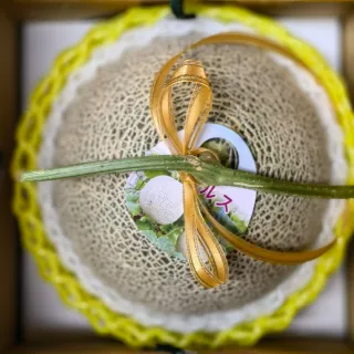 【果樹寶石】中部日本阿露斯哈密瓜1顆x2盒（2-2.5斤/盒）(產銷履歷 無毒無農藥殘留 農場常溫配送)