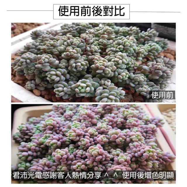 【JIUNPEY 君沛】2入組 T8 2呎12.5W全光譜植物燈管(植物生長燈)