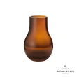 【Georg Jensen 官方旗艦店】CAFU Vase Amber Small(玻璃)