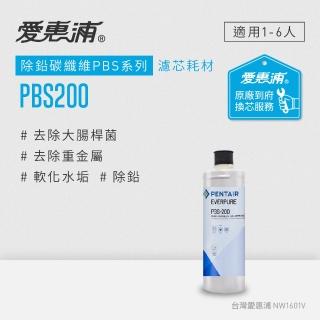 【EVERPURE 愛惠浦】PBS200碳纖活性碳濾芯 可取代OW2PLUS濾芯(到府更換)