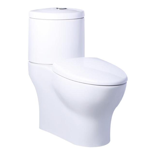 【CAESAR 凱撒衛浴】二段式加高金級省水馬桶 CF1649(含安裝 / 管距 300 mm / 分離式馬桶)