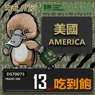 【鴨嘴獸 旅遊網絡卡】Travel Sim 美國 13日 吃到飽上網絡卡 旅遊卡(美國 上網絡卡)