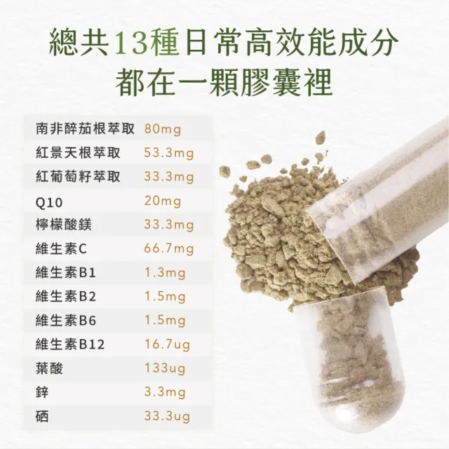 【德國 Natural Fit 活粒適】活力適膠囊 60粒(紅景天 南非醉茄 紅葡萄籽萃取 Q10 鎂 鋅 葉酸)