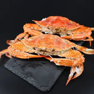 【三頓飯】活凍藍蟹(8隻/100-150g/隻)