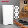 【SHARP 夏普】高科技鞋履賦活器(DY-B01T-W)