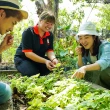 【阿信巧克力農場】單人巧克力生態DIY或香草精油DIY（不分平假日）(MO)