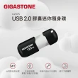 【GIGASTONE 立達】32GB USB2.0 黑銀膠囊隨身碟 U207S 超值2入組(32G隨身碟  原廠保固五年)